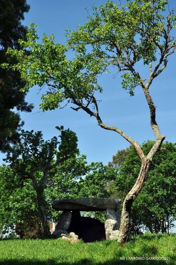 Angelas - Casa Da Galega Vila Praia de Âncora Eksteriør billede